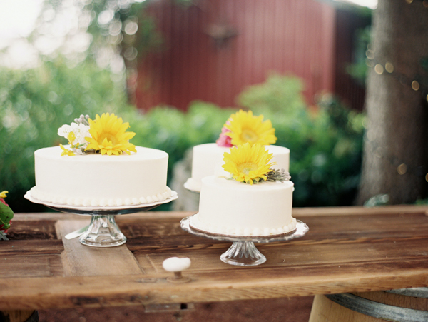 summertime-country-wedding-at-wilmes