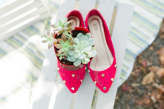 Pink flats with succulent plant pot