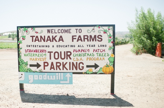 Tanaka Farms: Tour, Parking, Seasonal Produce