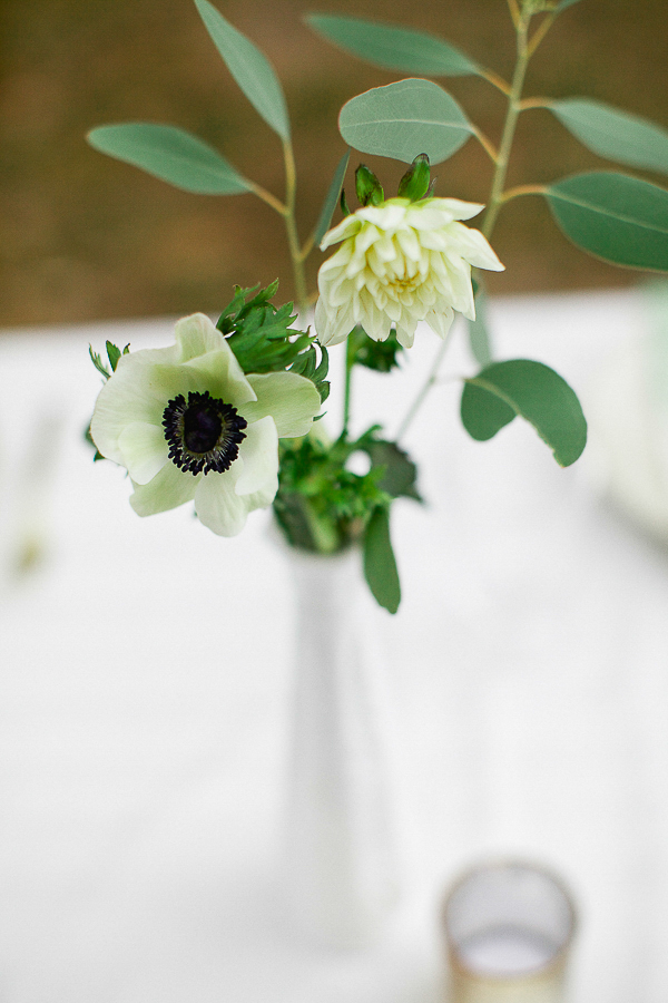 the-ultimate-diy-wedding-for-6k