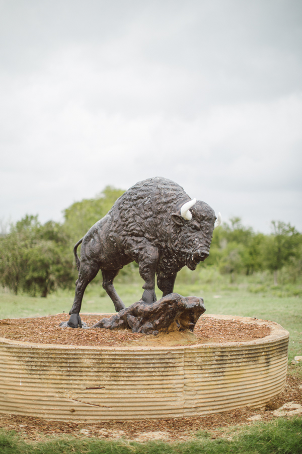 true-love-texas-wedding