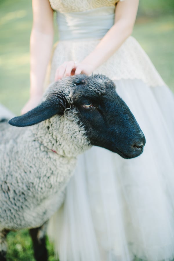 vintage-shepherdess-bridal-session