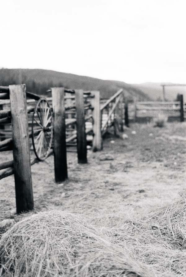 wild-western-wedding-in-colorado