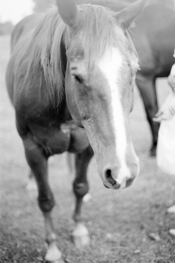 a-cowgirl-wedding-in-wisconsin