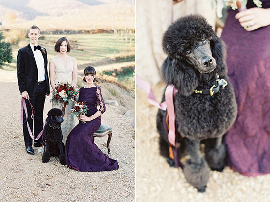 wedding poodle