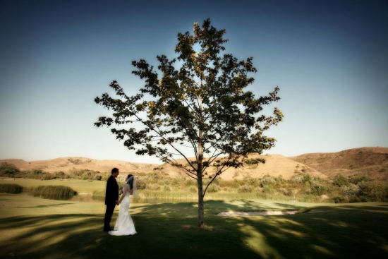 Newlyweds standing under a tree on their wedding day