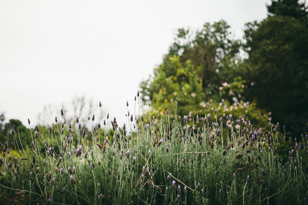 california-rustic-farm-wedding