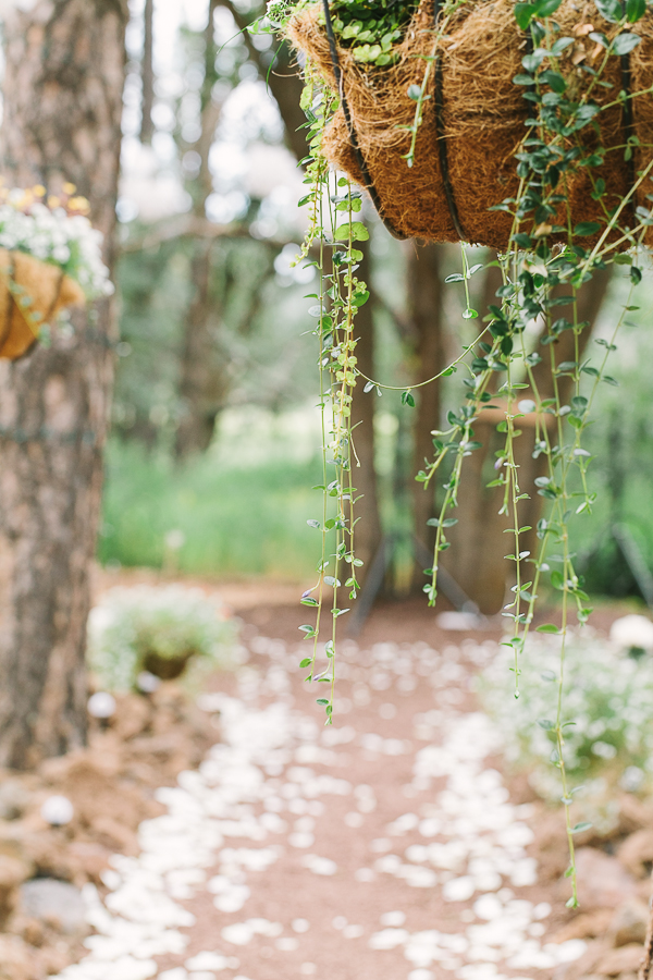 casual-elegance-wedding-for-under-7k