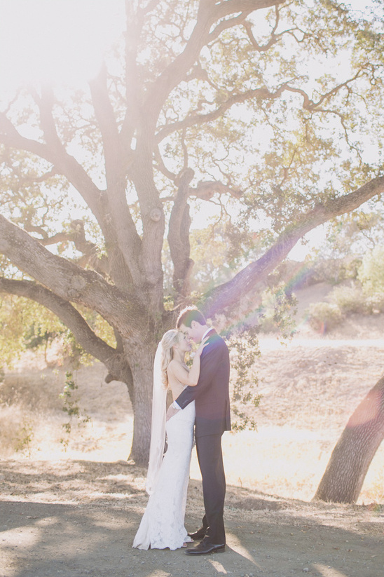 Wedding couple embracing in sunlit natural outdoor setting