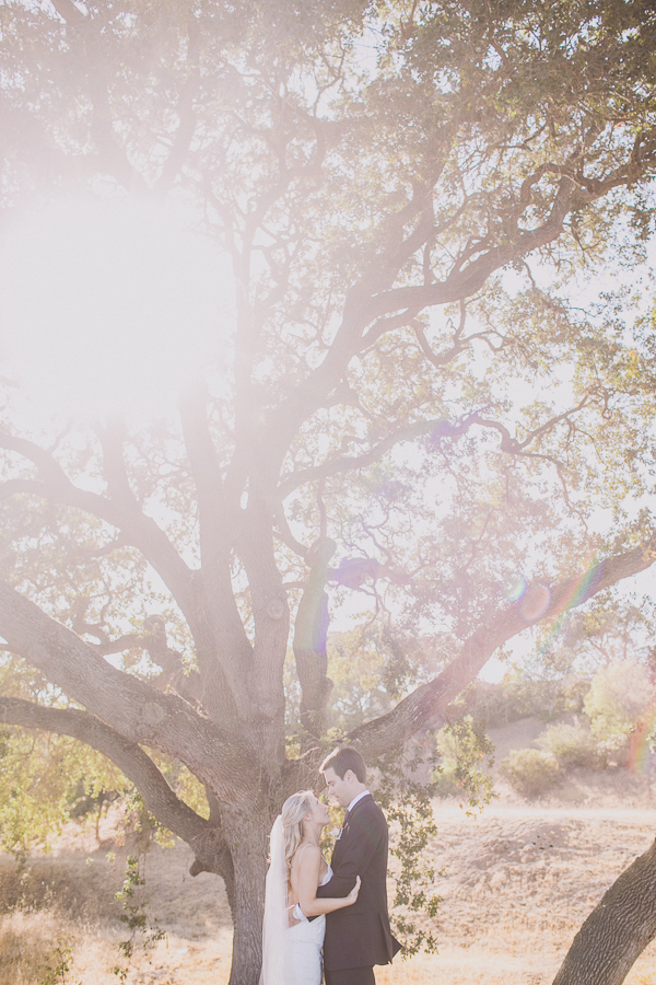 classic-pink-and-gold-wedding-at