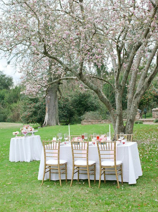outdoor wedding ideas