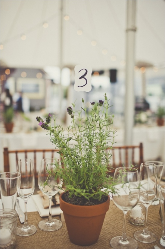 planted pot table numbers