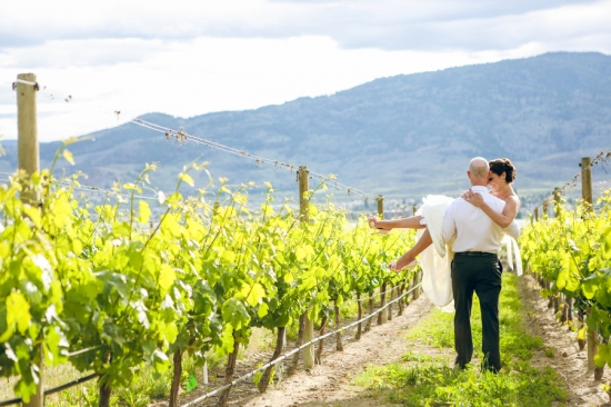 Bride carried by groom in vineyard wedding photo