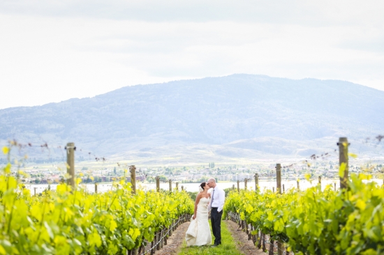 Bride and groom kissing in vineyard mountain backdrop