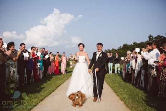 Bride and groom walking with dog at wedding