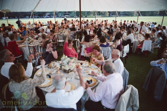 Wedding reception guests toasting