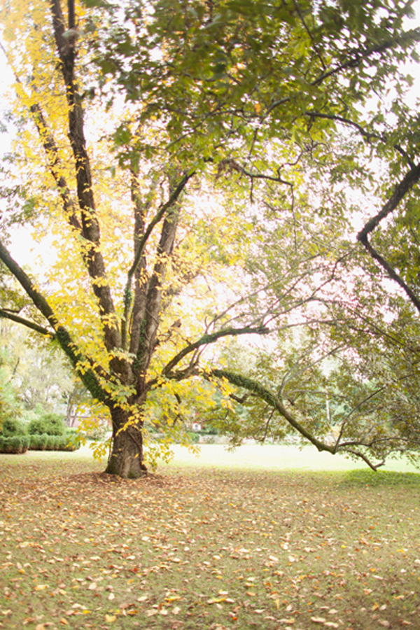 red-and-orange-fall-wedding