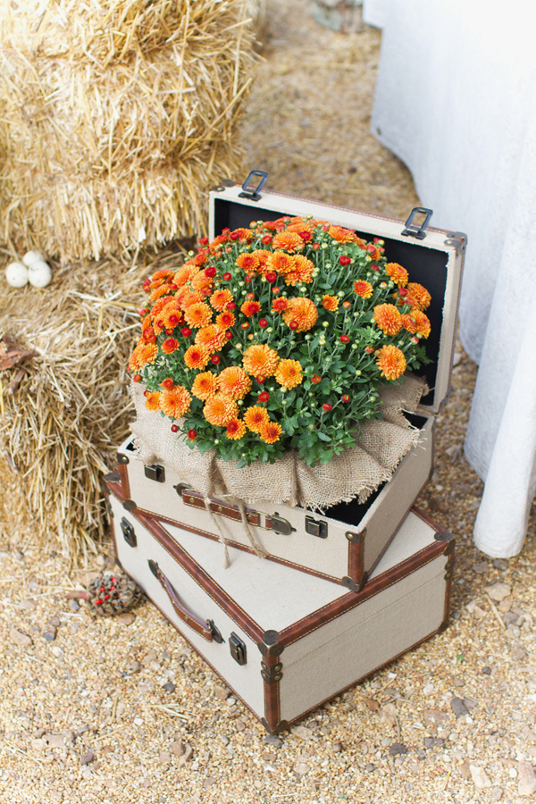 red-and-orange-fall-wedding