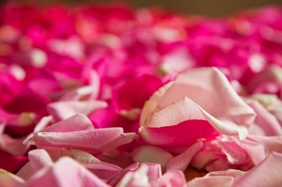 ruffles-and-roses-wedding-inspiration