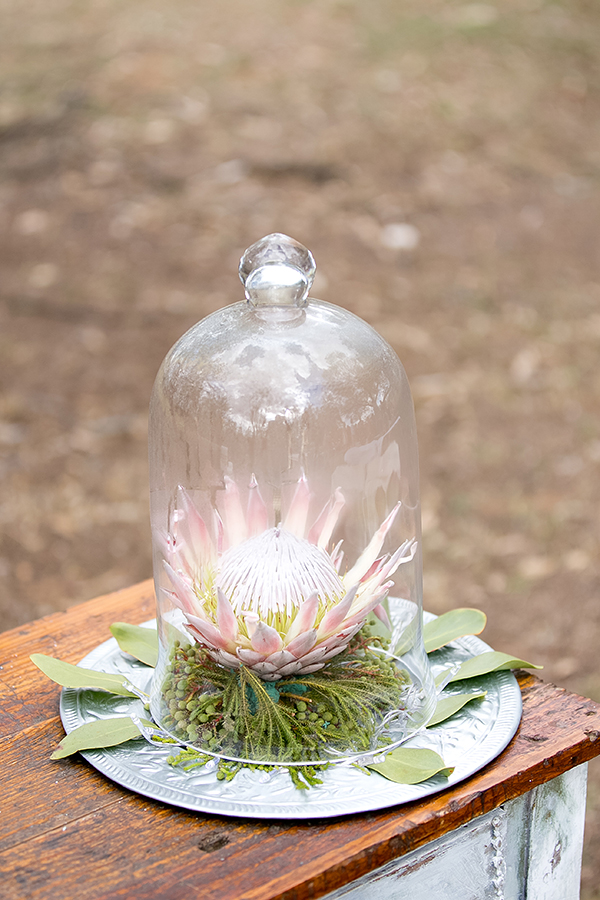 south-africa-farm-wedding