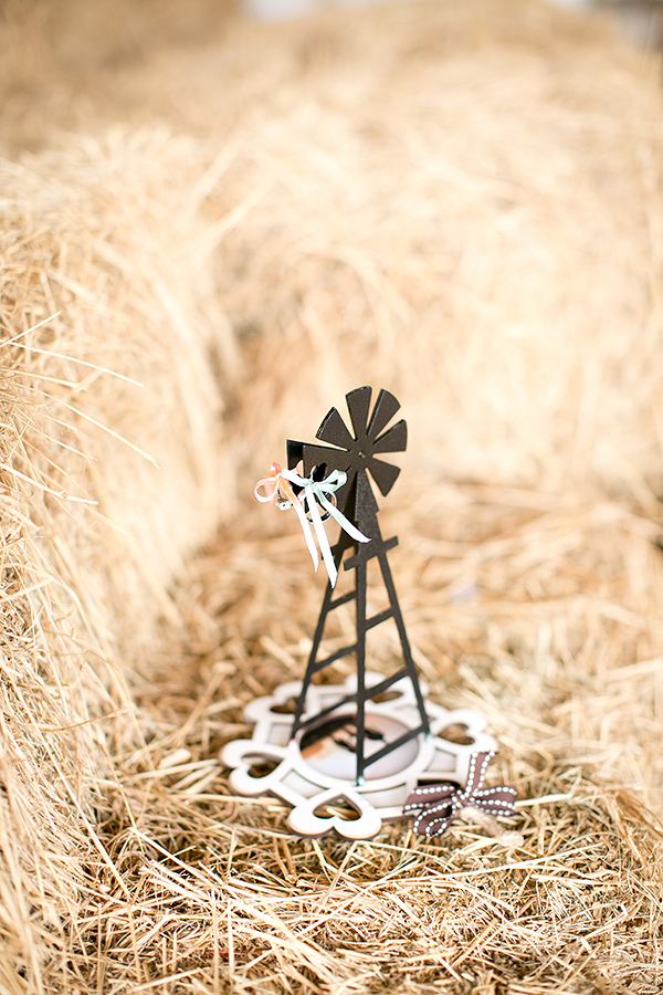 south-africa-farm-wedding