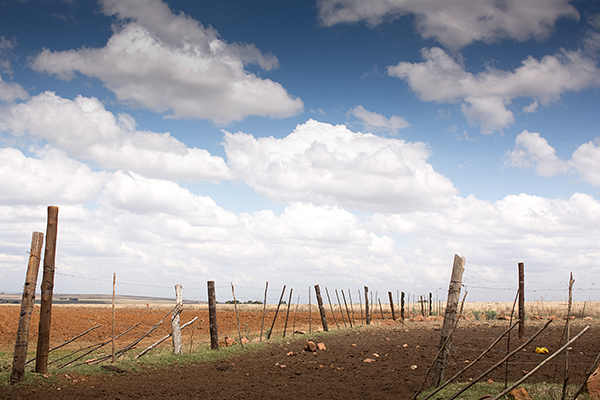 south-africa-farm-wedding