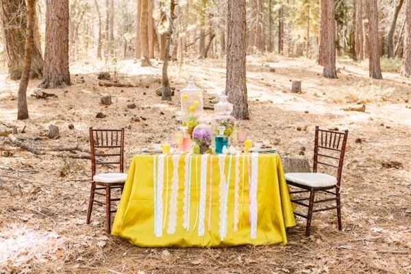 surprise-engagement-session