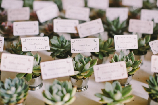 ca-central-coast-summer-wedding
