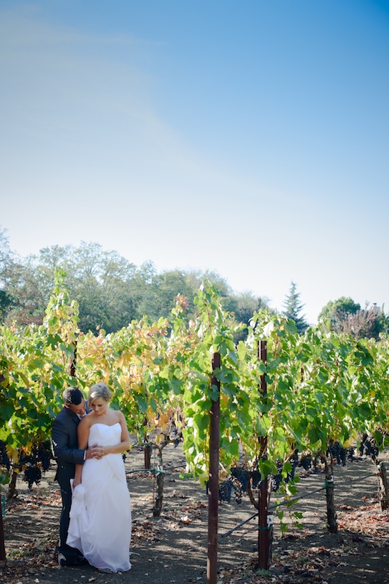 Bride and groom embrace in vineyard wedding photo