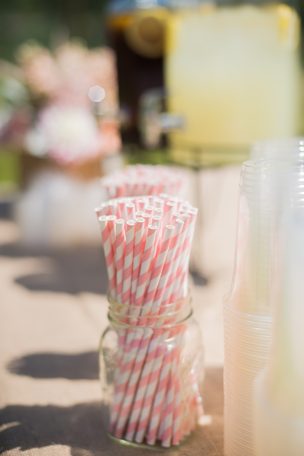 majestic-alberta-mountain-wedding