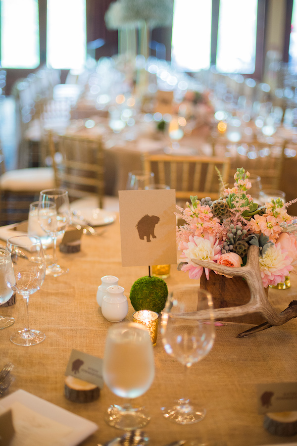 majestic-alberta-mountain-wedding