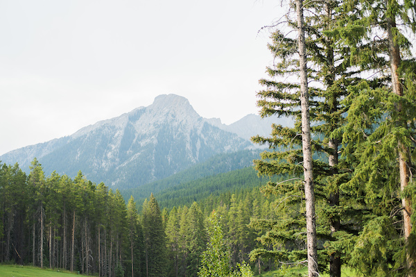 majestic-alberta-mountain-wedding