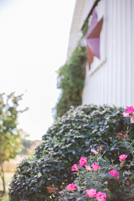 maryland-shades-of-pink-wedding