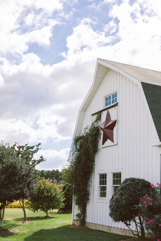 maryland-shades-of-pink-wedding