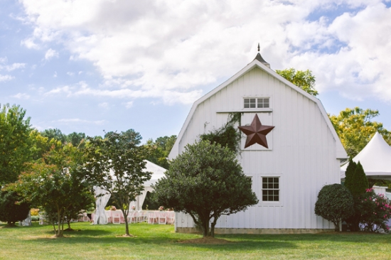 maryland-shades-of-pink-wedding