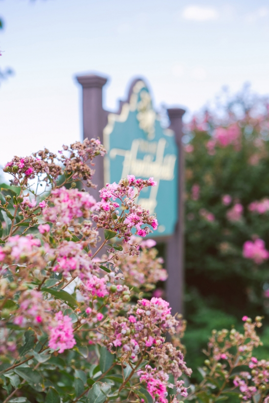 maryland-shades-of-pink-wedding