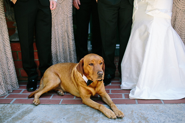 newport-beach-glittery-pink-wedding