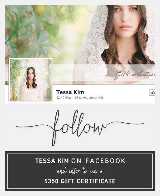 Wedding Accessory Giveaway From Tessa Kim