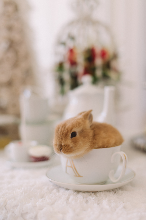 winter-in-wonderland-wedding-ideas