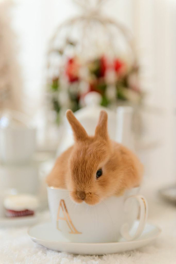 winter-in-wonderland-wedding-ideas