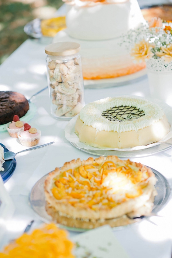 breezy-beautiful-picnic-wedding
