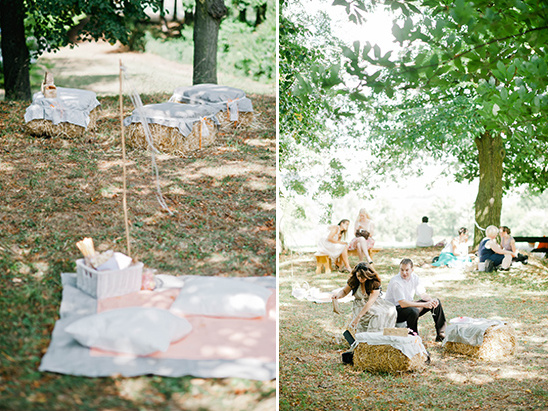 wedding picnic ideas