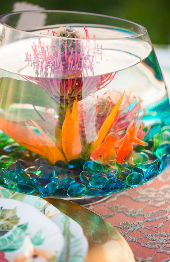 fish in a bowl as a centerpiece