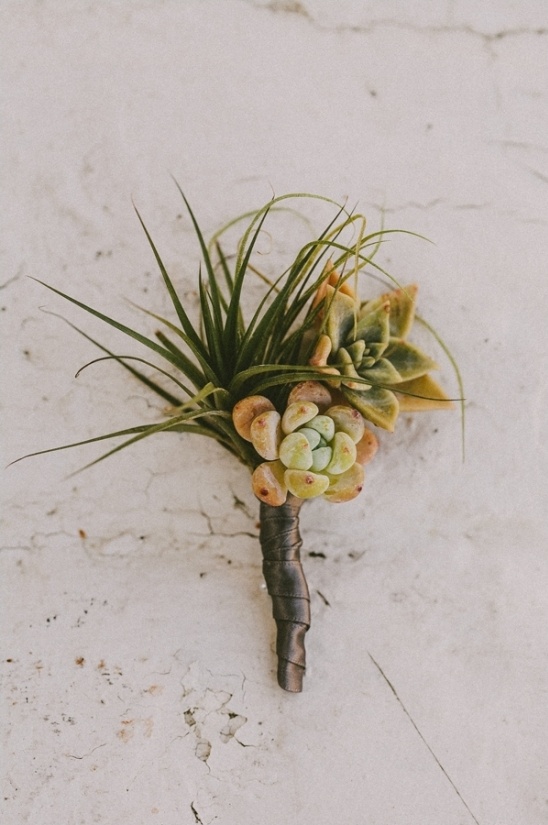 DIY succulent and air plant boutonniere