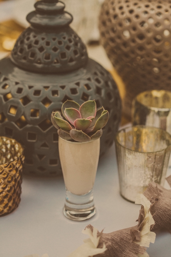 diy-palm-springs-wedding-at-cree-estate