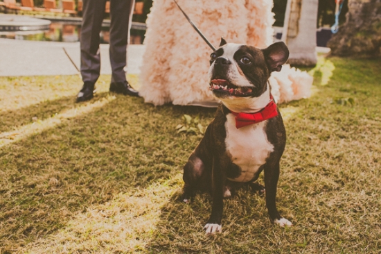 diy-palm-springs-wedding-at-cree-estate