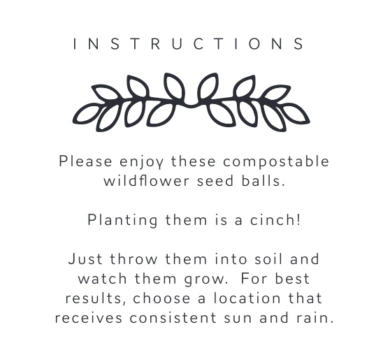 seed bomb instructions