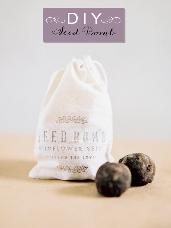 DIY Seed Bomb Wedding Favor