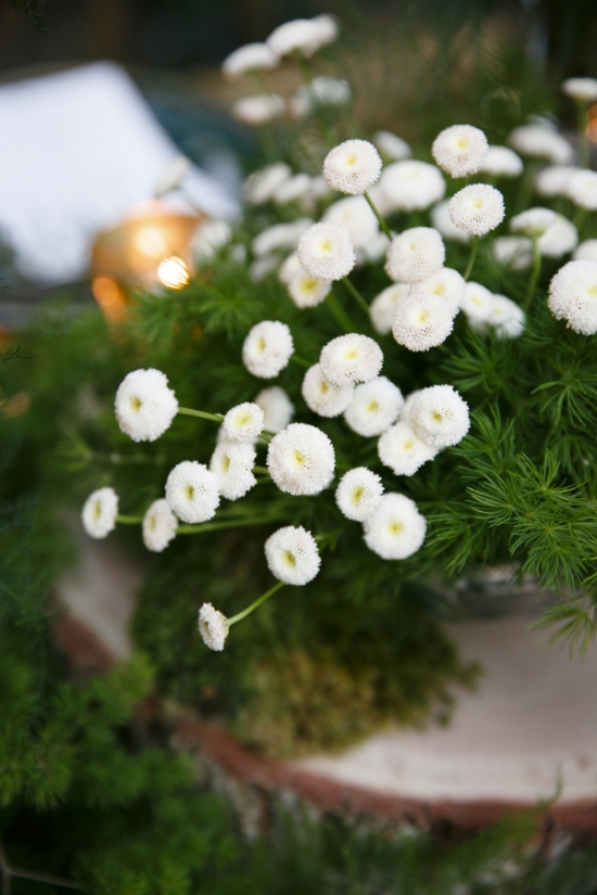 english-garden-wedding-ideas-inspired