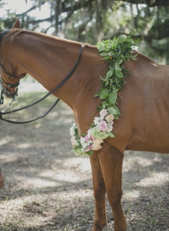 wedding garland for your horse